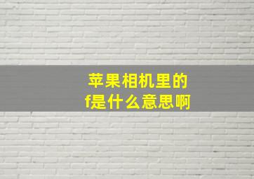 苹果相机里的f是什么意思啊