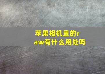 苹果相机里的raw有什么用处吗