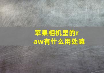 苹果相机里的raw有什么用处嘛