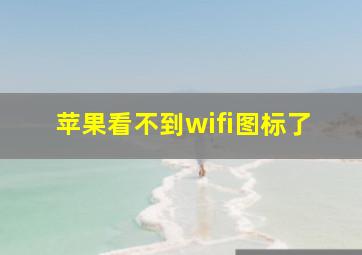 苹果看不到wifi图标了