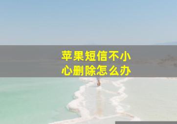 苹果短信不小心删除怎么办