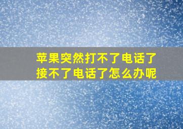 苹果突然打不了电话了接不了电话了怎么办呢