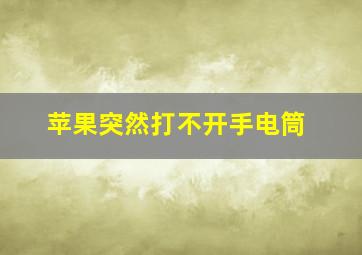 苹果突然打不开手电筒