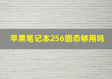 苹果笔记本256固态够用吗