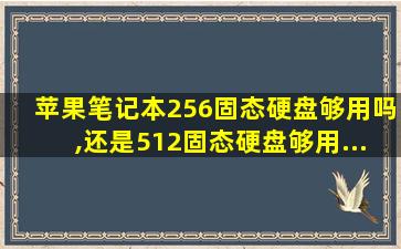 苹果笔记本256固态硬盘够用吗,还是512固态硬盘够用...