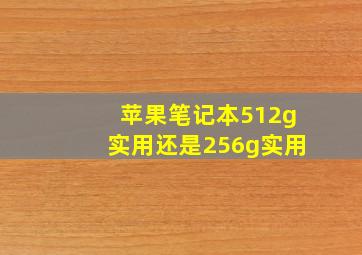 苹果笔记本512g实用还是256g实用