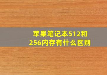 苹果笔记本512和256内存有什么区别