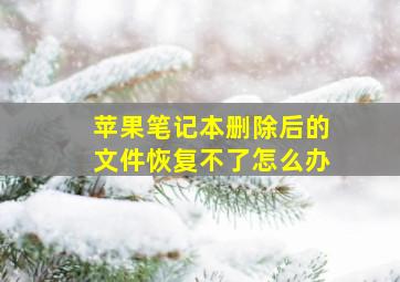 苹果笔记本删除后的文件恢复不了怎么办