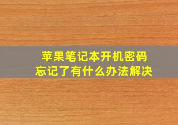 苹果笔记本开机密码忘记了有什么办法解决