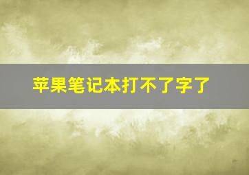 苹果笔记本打不了字了