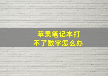 苹果笔记本打不了数字怎么办