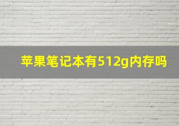 苹果笔记本有512g内存吗