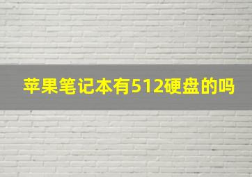 苹果笔记本有512硬盘的吗