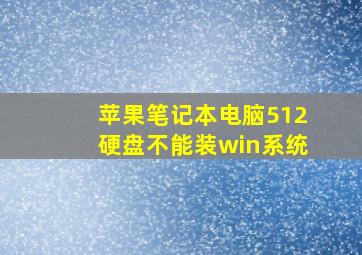 苹果笔记本电脑512硬盘不能装win系统