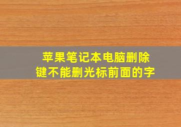 苹果笔记本电脑删除键不能删光标前面的字