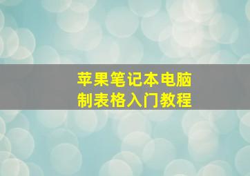 苹果笔记本电脑制表格入门教程