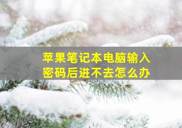 苹果笔记本电脑输入密码后进不去怎么办