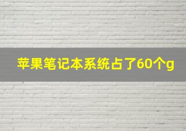 苹果笔记本系统占了60个g