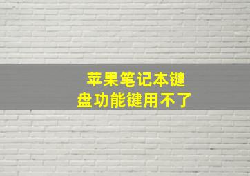 苹果笔记本键盘功能键用不了