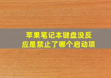 苹果笔记本键盘没反应是禁止了哪个启动项