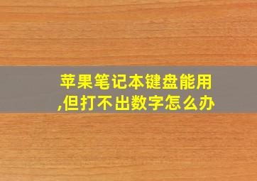 苹果笔记本键盘能用,但打不出数字怎么办