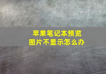 苹果笔记本预览图片不显示怎么办