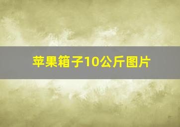 苹果箱子10公斤图片