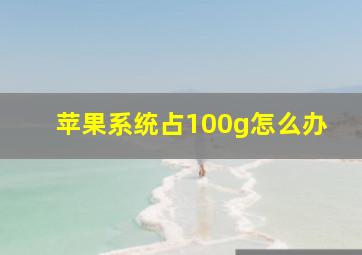 苹果系统占100g怎么办