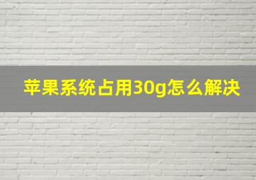 苹果系统占用30g怎么解决