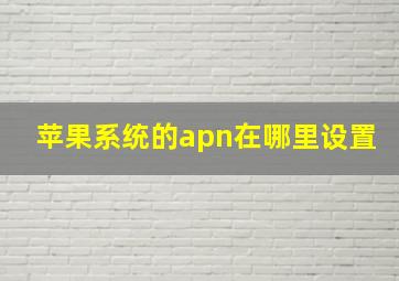 苹果系统的apn在哪里设置