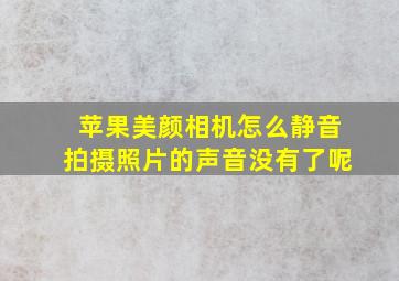 苹果美颜相机怎么静音拍摄照片的声音没有了呢