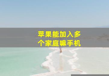 苹果能加入多个家庭嘛手机