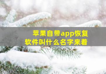 苹果自带app恢复软件叫什么名字来着