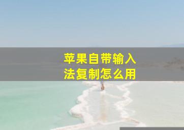 苹果自带输入法复制怎么用