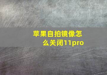 苹果自拍镜像怎么关闭11pro