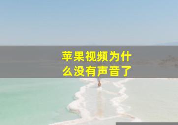 苹果视频为什么没有声音了