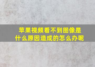 苹果视频看不到图像是什么原因造成的怎么办呢