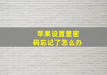 苹果设置里密码忘记了怎么办