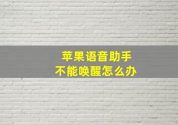 苹果语音助手不能唤醒怎么办