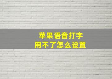 苹果语音打字用不了怎么设置