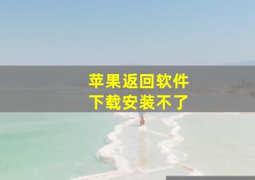 苹果返回软件下载安装不了