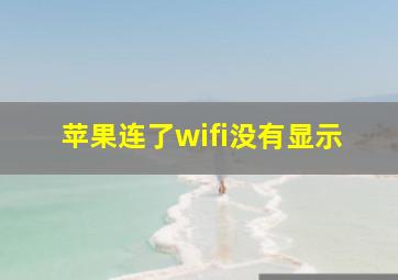 苹果连了wifi没有显示