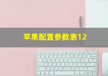 苹果配置参数表12