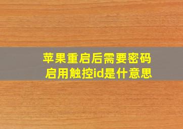 苹果重启后需要密码启用触控id是什意思