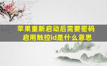 苹果重新启动后需要密码启用触控id是什么意思