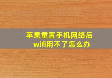 苹果重置手机网络后wifi用不了怎么办