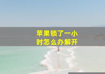 苹果锁了一小时怎么办解开