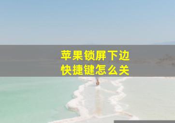 苹果锁屏下边快捷键怎么关