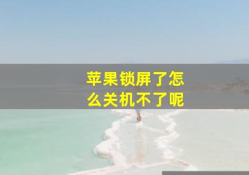 苹果锁屏了怎么关机不了呢