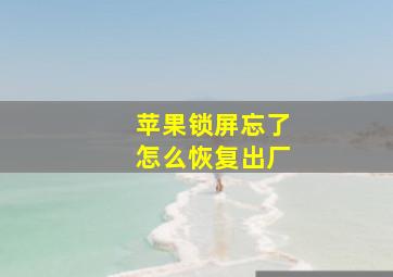 苹果锁屏忘了怎么恢复出厂